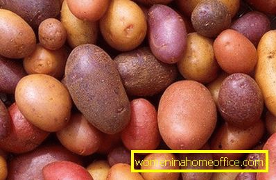 Različne sorte krompirja